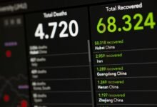 sector update data analysis