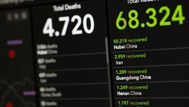 sector update data analysis