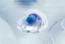 enterprise intelligence scan codes